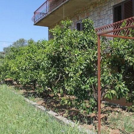 Apartment Studio Jelsa 8789a Jelsa (Hvar)